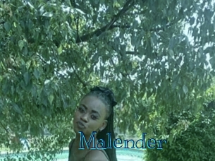 malender Archive DVD BIZ