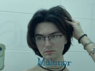 malenor Archive DVD BIZ