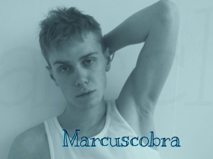 marcuscobra Archive DVD BIZ