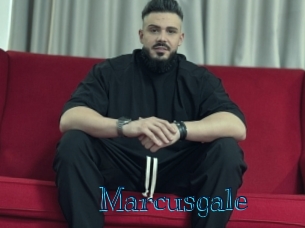 marcusgale Archive DVD BIZ