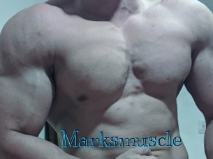 marksmuscle Archive DVD BIZ