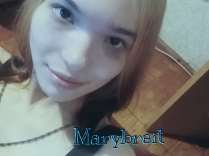 marybreit Archive DVD BIZ