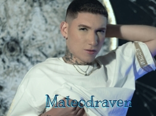 mateodraven Archive DVD BIZ