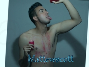mattewscott Archive DVD BIZ