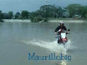 Maurillobig