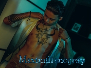 maximilianogray Archive DVD BIZ