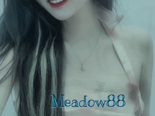 meadow88 Archive DVD BIZ