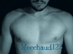 Mecchaud123