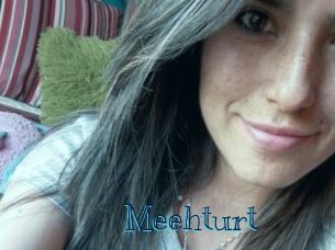 meehturt Archive DVD BIZ