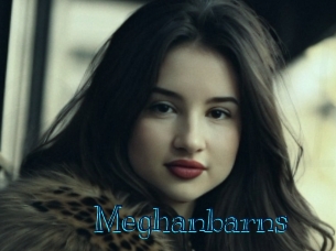 meghanbarns Archive DVD BIZ