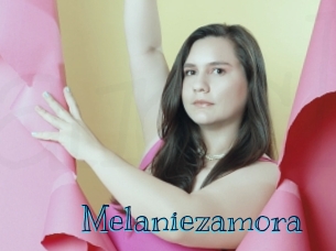 melaniezamora Archive DVD BIZ