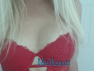 mellanii Archive DVD BIZ