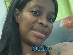 mellee Archive DVD BIZ