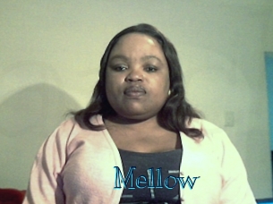 mellow Archive DVD BIZ