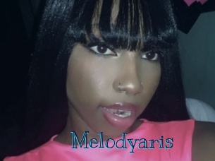 melodyaris Archive DVD BIZ