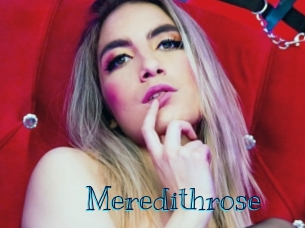 meredithrose Archive DVD BIZ