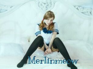 Merlinmeow