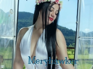 Meryhawker