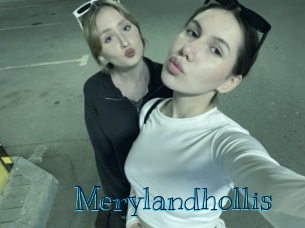 merylandhollis Archive DVD BIZ