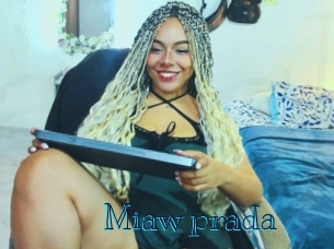Miaw_prada
