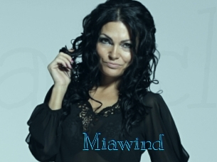 miawind Archive DVD BIZ