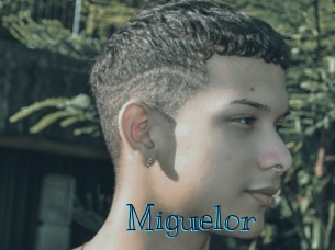 miguelor Archive DVD BIZ