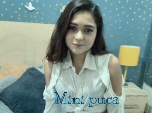 Mini_puca