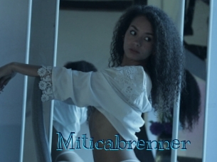 miticabrenner Archive DVD BIZ