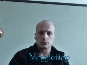 moggleflop Archive DVD BIZ