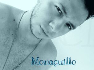 Monaguillo