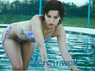 morganwolf Archive DVD BIZ