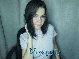 Mosquito