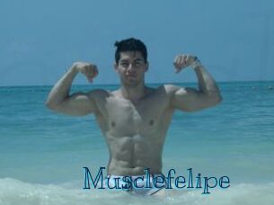 musclefelipe Archive DVD BIZ