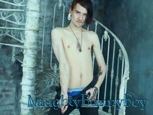 NaughtyBunnyBoy