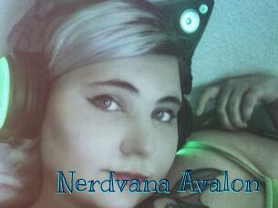 Nerdvana_Avalon Archive DVD BIZ