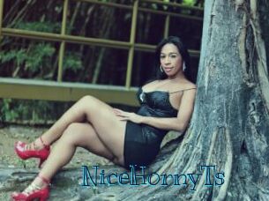 NiceHornyTs