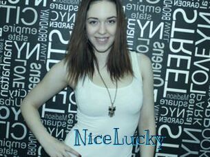 NiceLucky Archive DVD BIZ