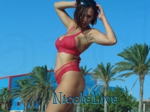 NicoleLive Archive DVD BIZ