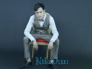 NikoJun Archive DVD BIZ
