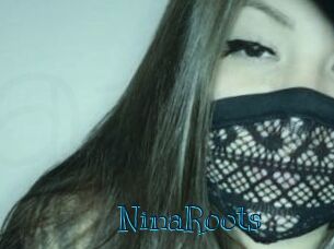NinaRoots Archive DVD BIZ