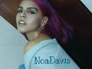NoaDavis