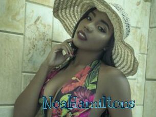 NoaHamiltons