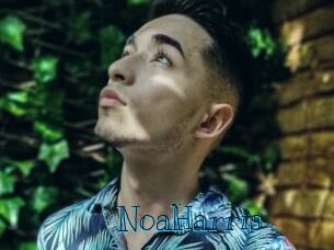 NoaHarris