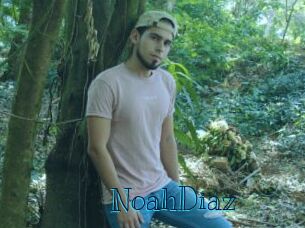 NoahDiaz