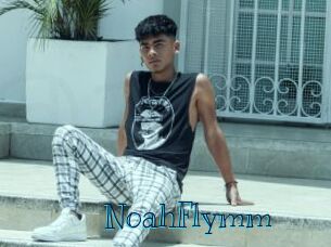 NoahFlymm