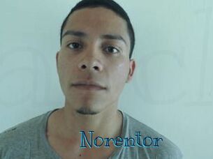 Noren_tor