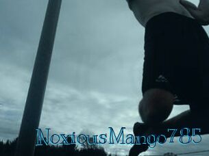 NoxiousMango785