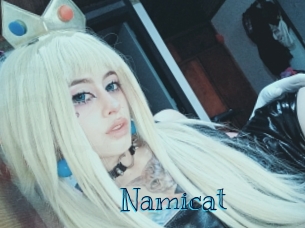 namicat Archive DVD BIZ