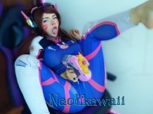 naohkawaii Archive DVD BIZ