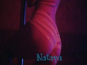 nataya Archive DVD BIZ